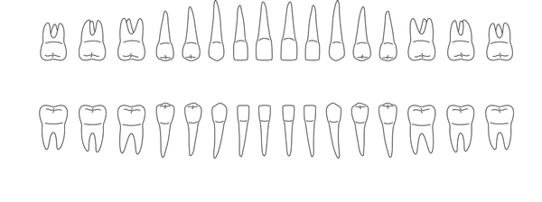 Visualizador de Tratamiento Dental